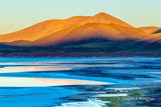 Chile | Laguna Salar de Talar (4'012 m)