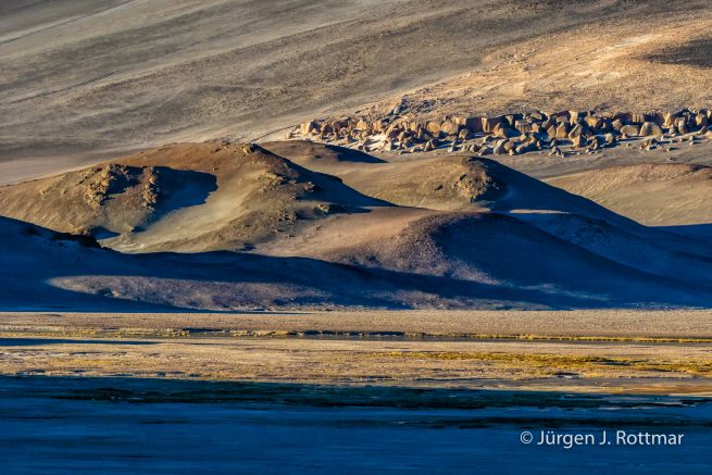 Chile | Laguna Salar de Talar (4'012 m)