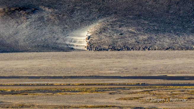 Chile | Laguna Salar de Talar (4'012 m)