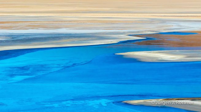 Chile | Laguna Salar de Talar (4'012 m)