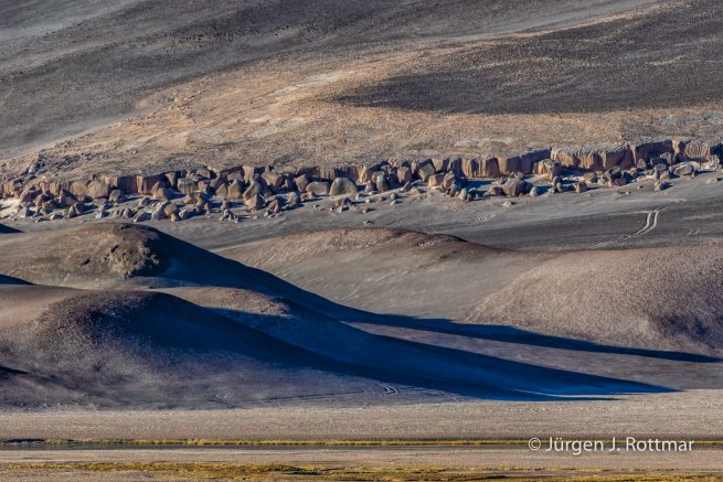 Chile | Laguna Salar de Talar (4'012 m)