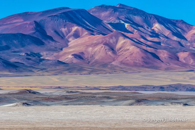 Chile | Laguna Salar de Talar (4'012 m)