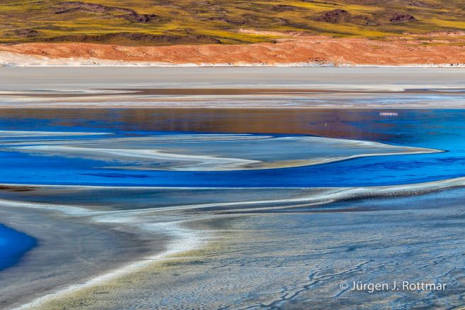 Chile | Laguna Salar de Talar (4'012 m)
