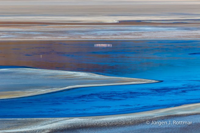 Chile | Laguna Salar de Talar (4'012 m)