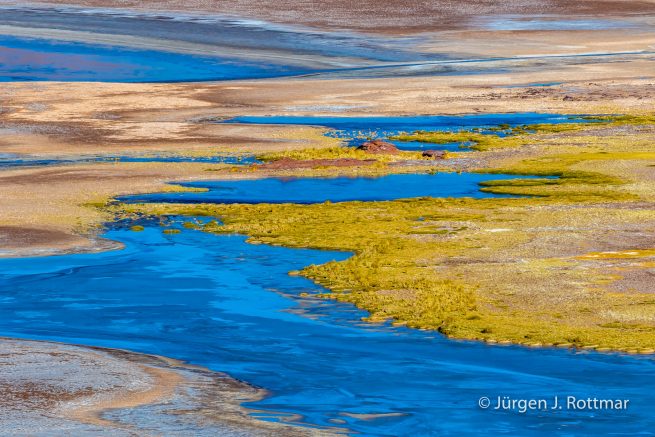 Chile | Laguna Salar de Talar (4'012 m)