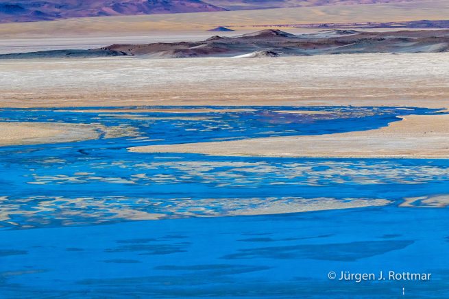 Chile | Laguna Salar de Talar (4'012 m)