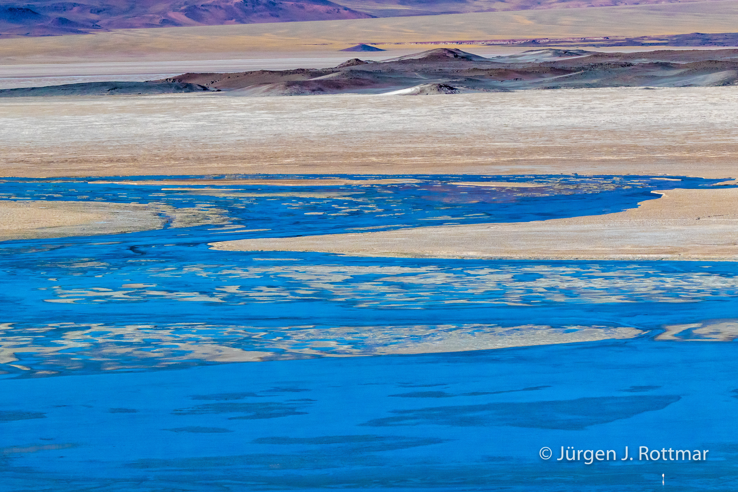 Chile Laguna Salar de Talar (4’012 m) Rottmar
