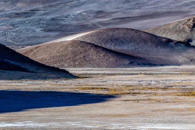 Chile | Laguna Salar de Talar (4'012 m)