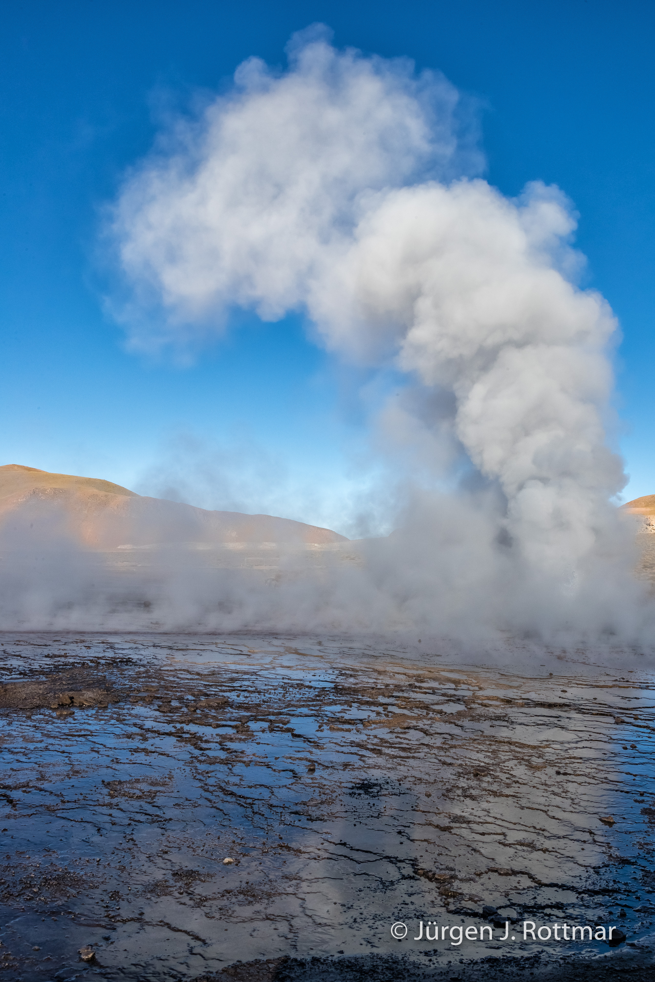 Chile | Altiplano-Puna | Geothermalgebiet | El Tatio