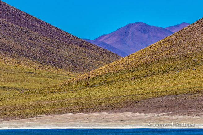 Chile | Laguna Miñiques (4'100 m)
