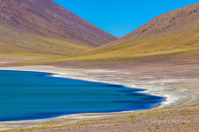 Chile | Laguna Miñiques (4'100 m)