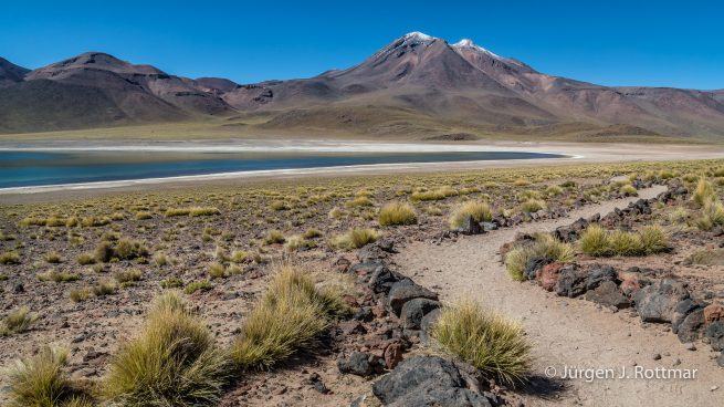 Chile | Laguna Miscanti (4'140 m) | Cerro Miscanti (5622 m)