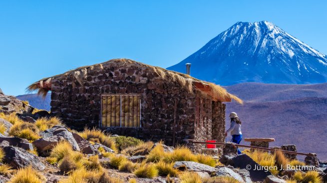 Chile | Laguna Miscanti (4'140 m)