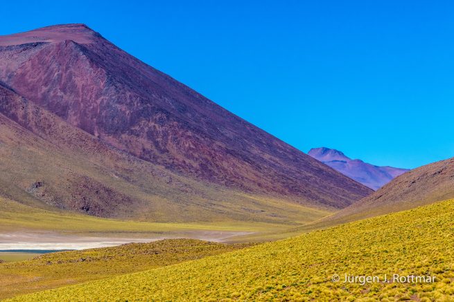 Chile | Laguna Miscanti (4'140 m)