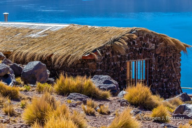 Chile | Laguna Miscanti (4'140 m)
