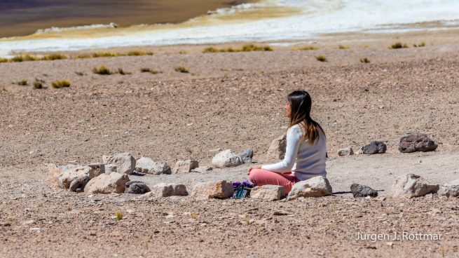 Chile | Laguna Miscanti (4'140 m)