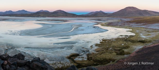 Chile | Laguna Salar de Talar (4'012 m)