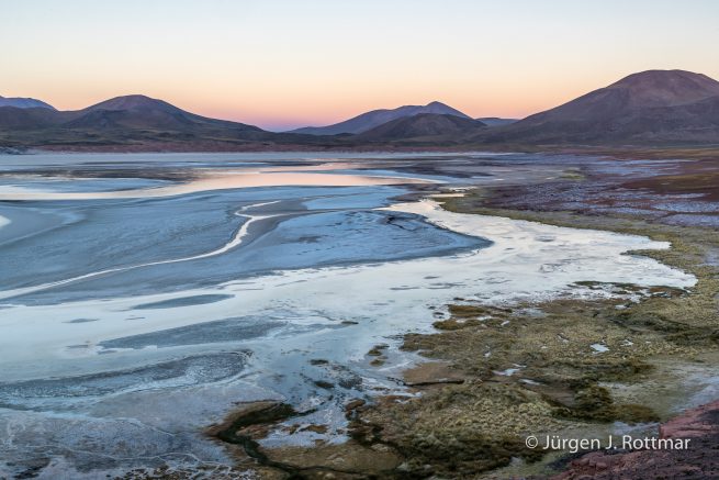 Chile | Laguna Salar de Talar (4'012 m)