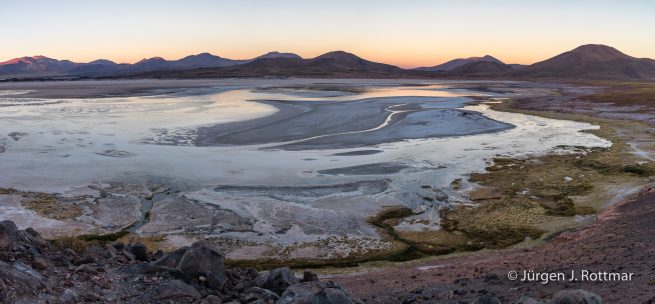 Chile | Laguna Salar de Talar (4'012 m)
