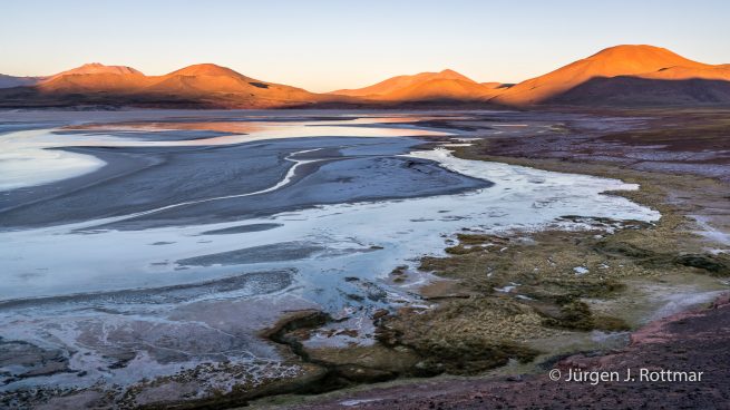 Chile | Laguna Salar de Talar (4'012 m)