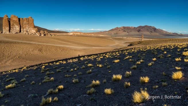Chile | Salar de Aguas Calientes | Monjes de la Pacana