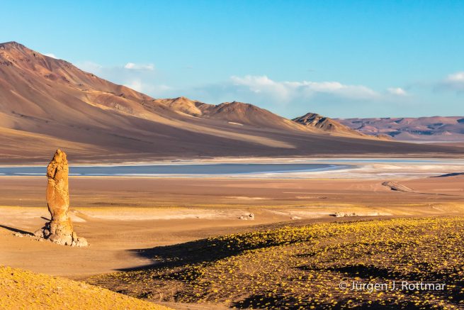 Chile | Salar de Aguas Calientes | Monjes de la Pacana