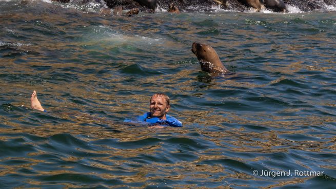Peru | Lima | Islas Palomino | Fotoguide Martin schwimmt mit den Seelöwen (Swimmimg with the Sea Lions)