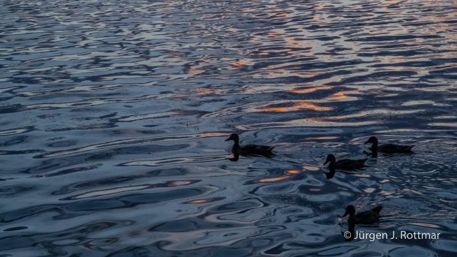 USA | Alaska | Anchorage | Lake Spenard