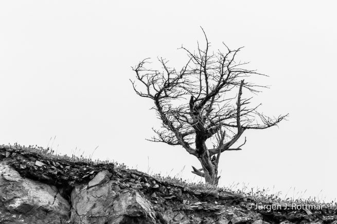 USA | Alaska | Anchorage | Turnagain Arm