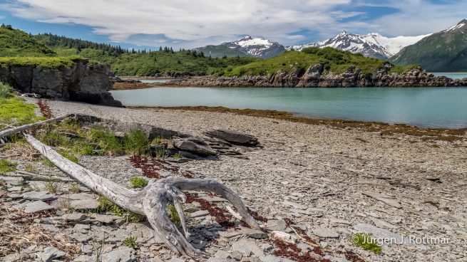 USA | Alaska | Katmai Nationalpark