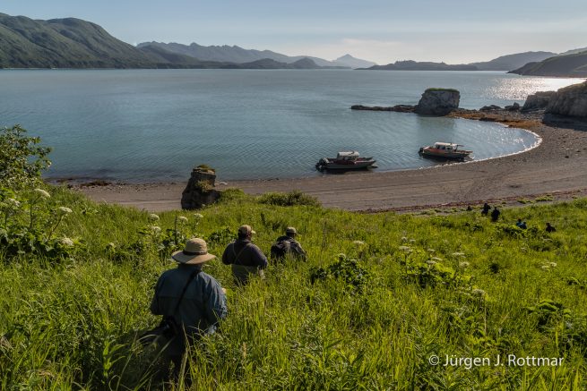 USA | Alaska | Katmai Nationalpark