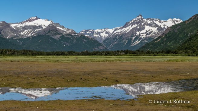 USA | Alaska | Katmai Nationalpark | Brown Bears (Braunbären)