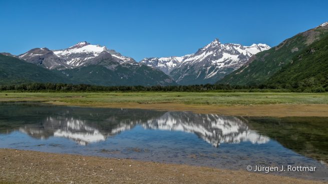 USA | Alaska | Katmai Nationalpark | Brown Bears (Braunbären)