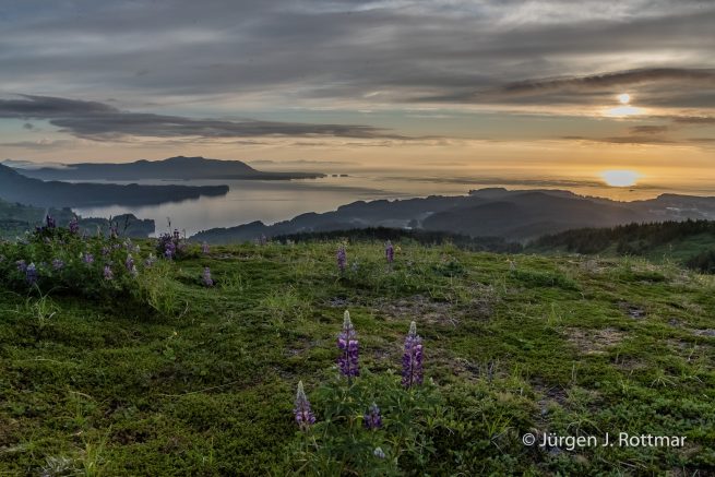 USA | Alaska | Kodiak Island | Kodiak