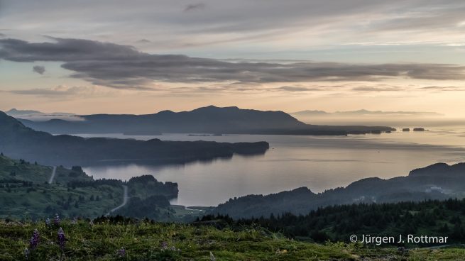 USA | Alaska | Kodiak Island | Kodiak