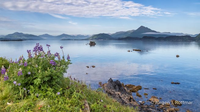 USA | Alaska | Kodiak Island | Kodiak