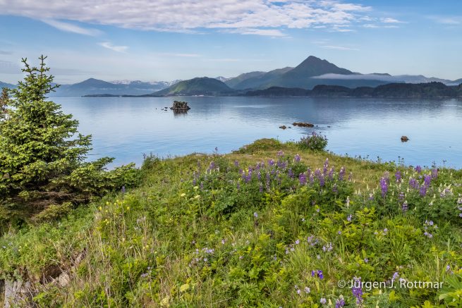 USA | Alaska | Kodiak Island | Kodiak