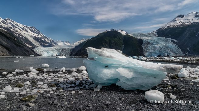 USA | Alaska | Prince William Sound | Barry Glacier - Coxe Glacier