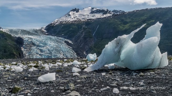 USA | Alaska | Prince William Sound | Barry Glacier