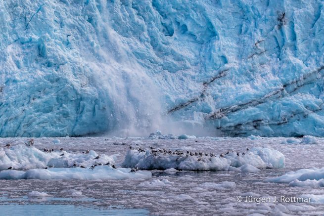 USA | Alaska | Prince William Sound | Coxe Glacier