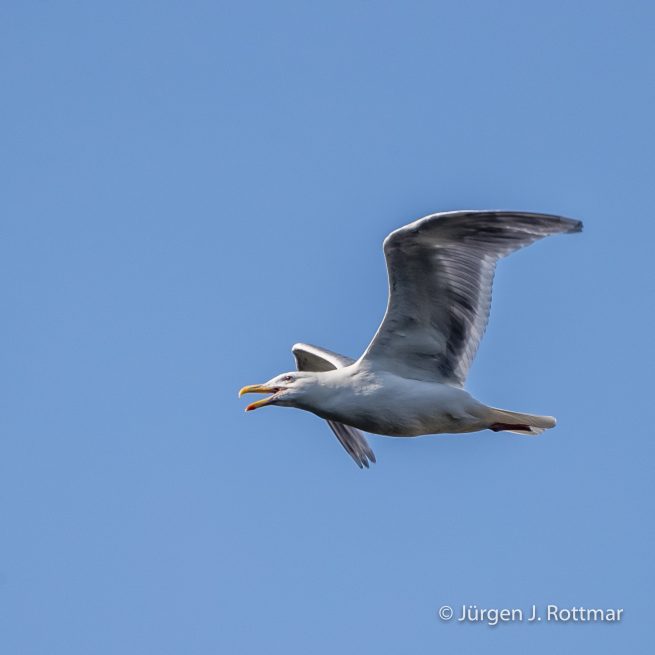 USA | Alaska | Kodiak Island