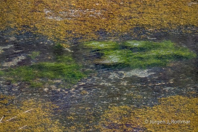 USA | Alaska | Kodiak Island