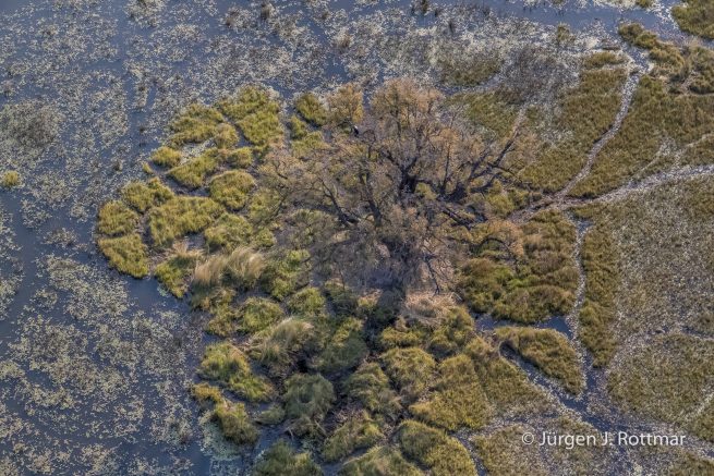 Botswana 09/2019 | Okavango Delta | Scenic Helicopter Flight