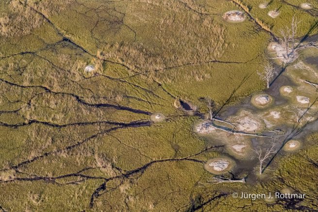 Botswana 09/2019 | Okavango Delta | Scenic Helicopter Flight