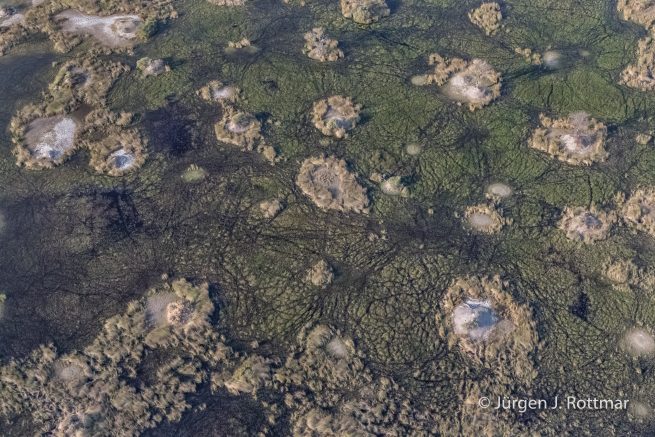 Botswana 09/2019 | Okavango Delta | Scenic Helicopter Flight
