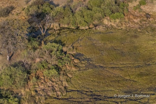 Botswana 09/2019 | Okavango Delta | Scenic Helicopter Flight