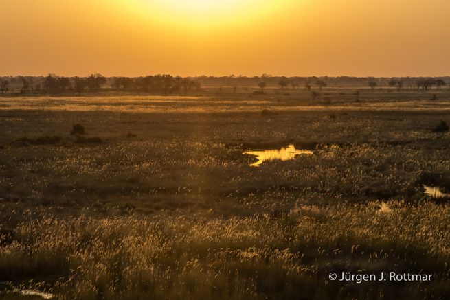 Botswana 09/2019 | Okavango Delta | Scenic Helicopter Flight