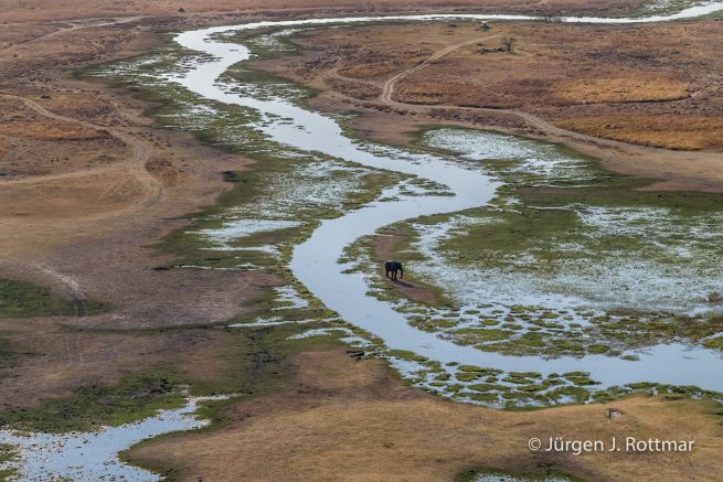 Botswana 09/2019 | Okavango Delta | African Savanna Elephant (Afrikanischer Elefant) | Scenic Helicopter Flight