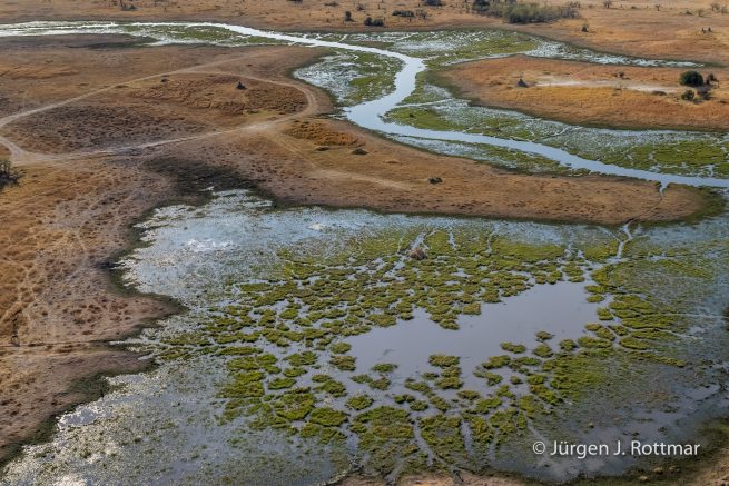 Botswana 09/2019 | Okavango Delta | Scenic Helicopter Flight