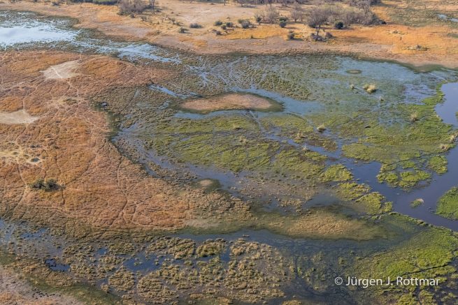 Botswana 09/2019 | Okavango Delta | Scenic Helicopter Flight
